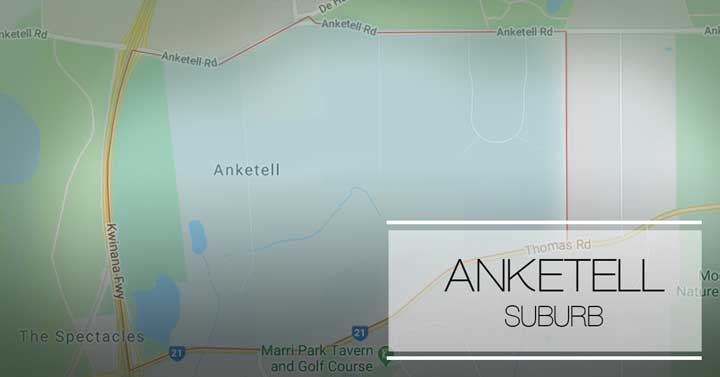 Anketel Reviews