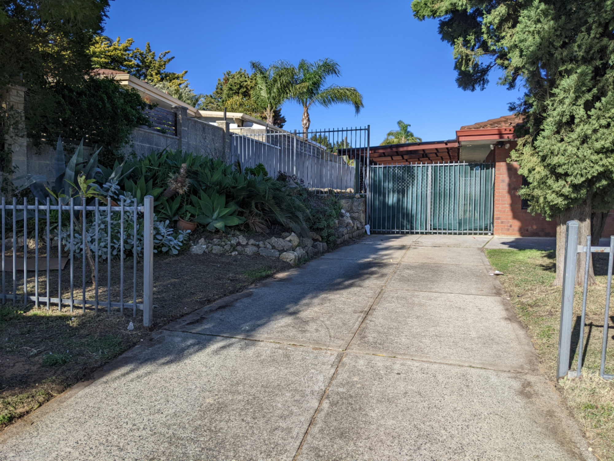 8 Tuart - Driveway garden 1