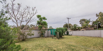 Parmelia Rentals (12)